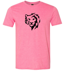 WildCats Big logo
